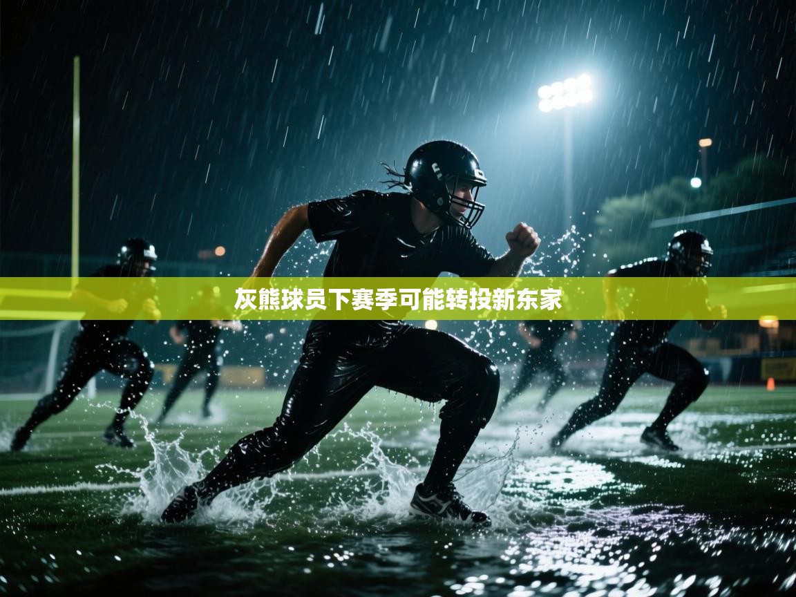 灰熊球员下赛季可能转投新东家