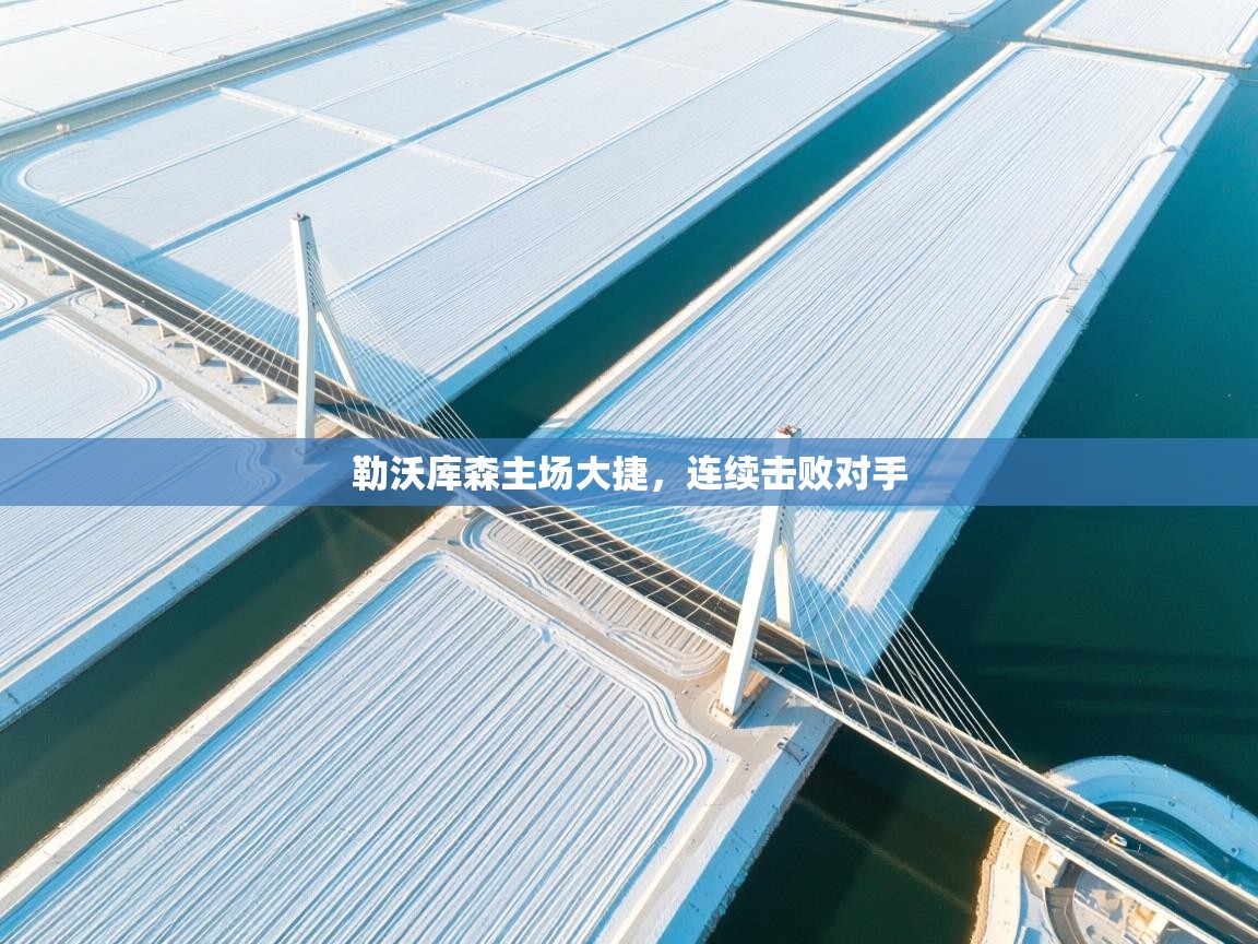 勒沃库森主场大捷，连续击败对手