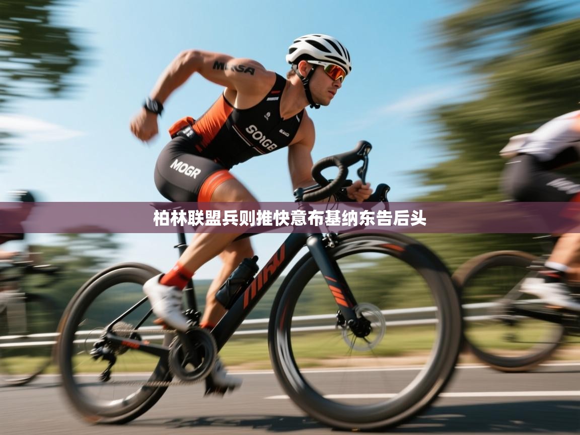 柏林联盟兵则推快意布基纳东告后头 第2张