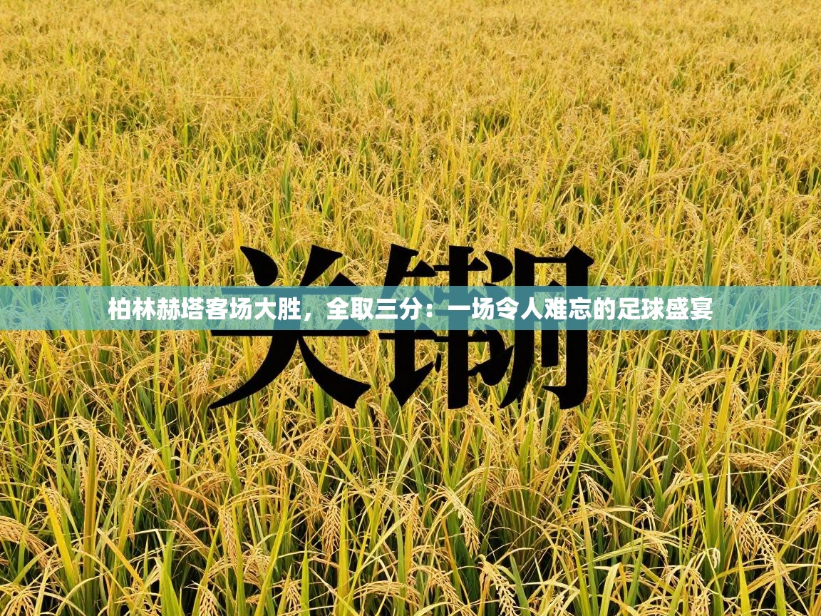 柏林赫塔客场大胜，全取三分：一场令人难忘的足球盛宴